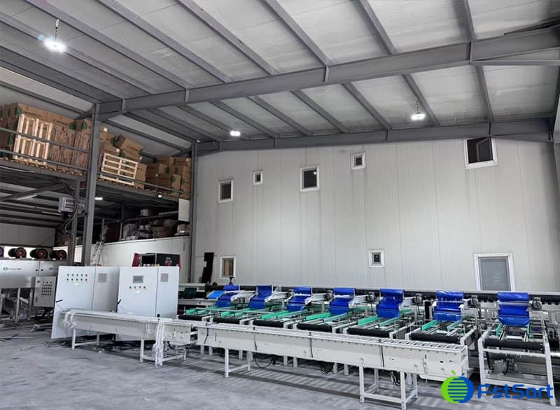 Clasificadora óptica de tomates.jpg Clasificadora óptica de tomates.jpg